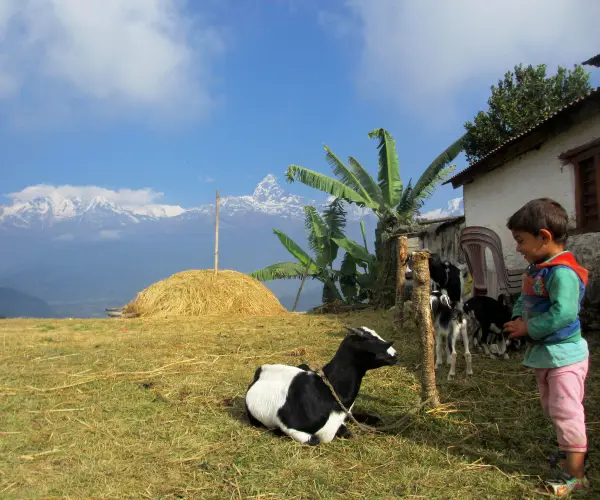 ダンプスサランコットトレッキング5日間